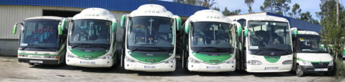 buses